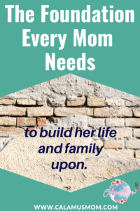 The Foundation Every Mom Needs to Build Her Life and Family Upon 

Calamus Mom

Brick Wall with Stucco on part