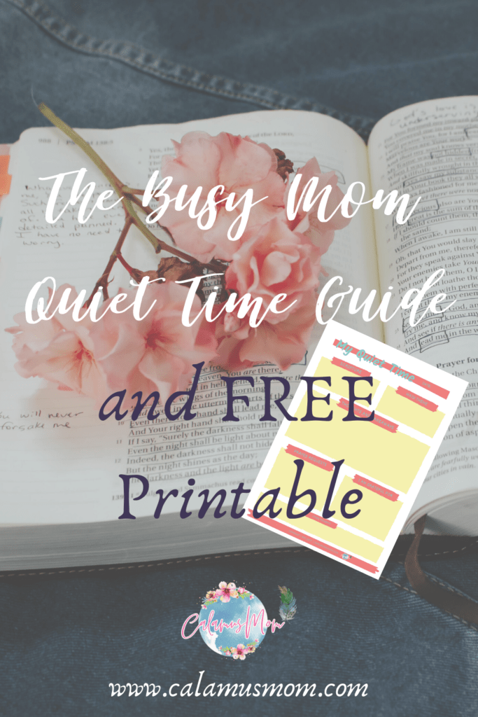 Busy Mom Quiet Time Guide