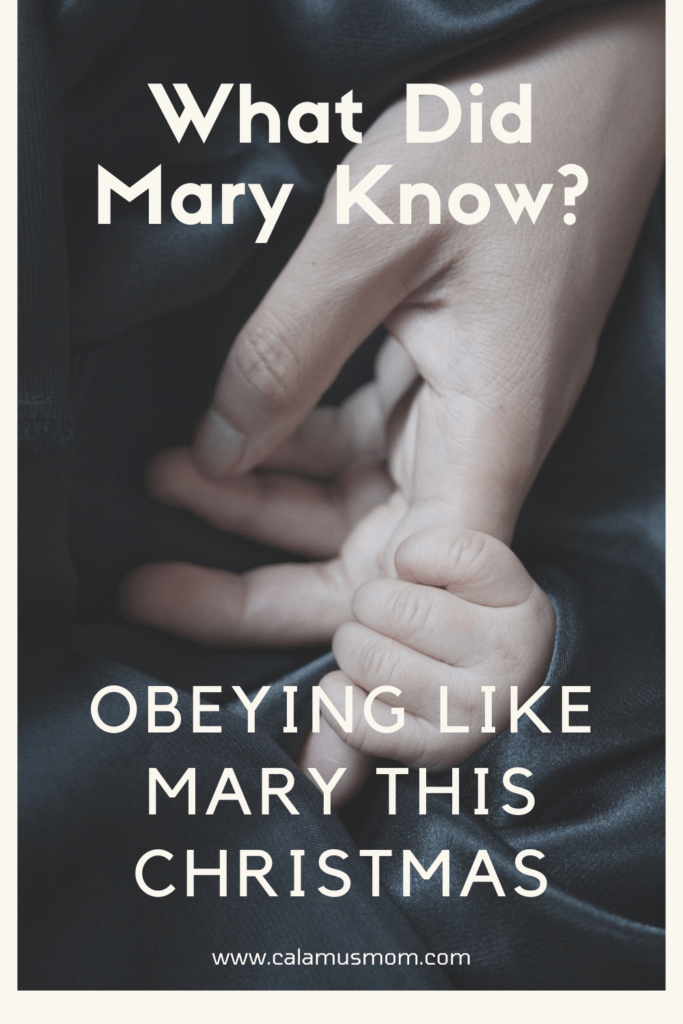 What Did Mary Know: Obeying Like Her
